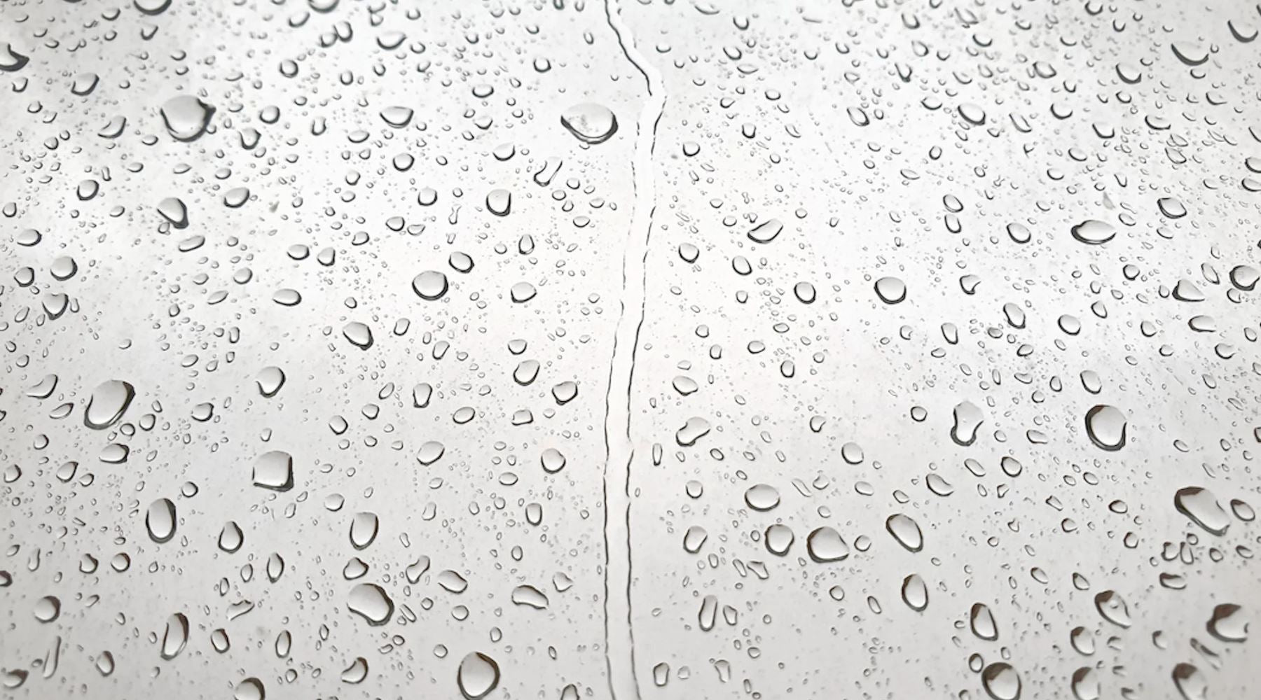 best organic face cream, best organic oils for face, best anti ageing skin care natural