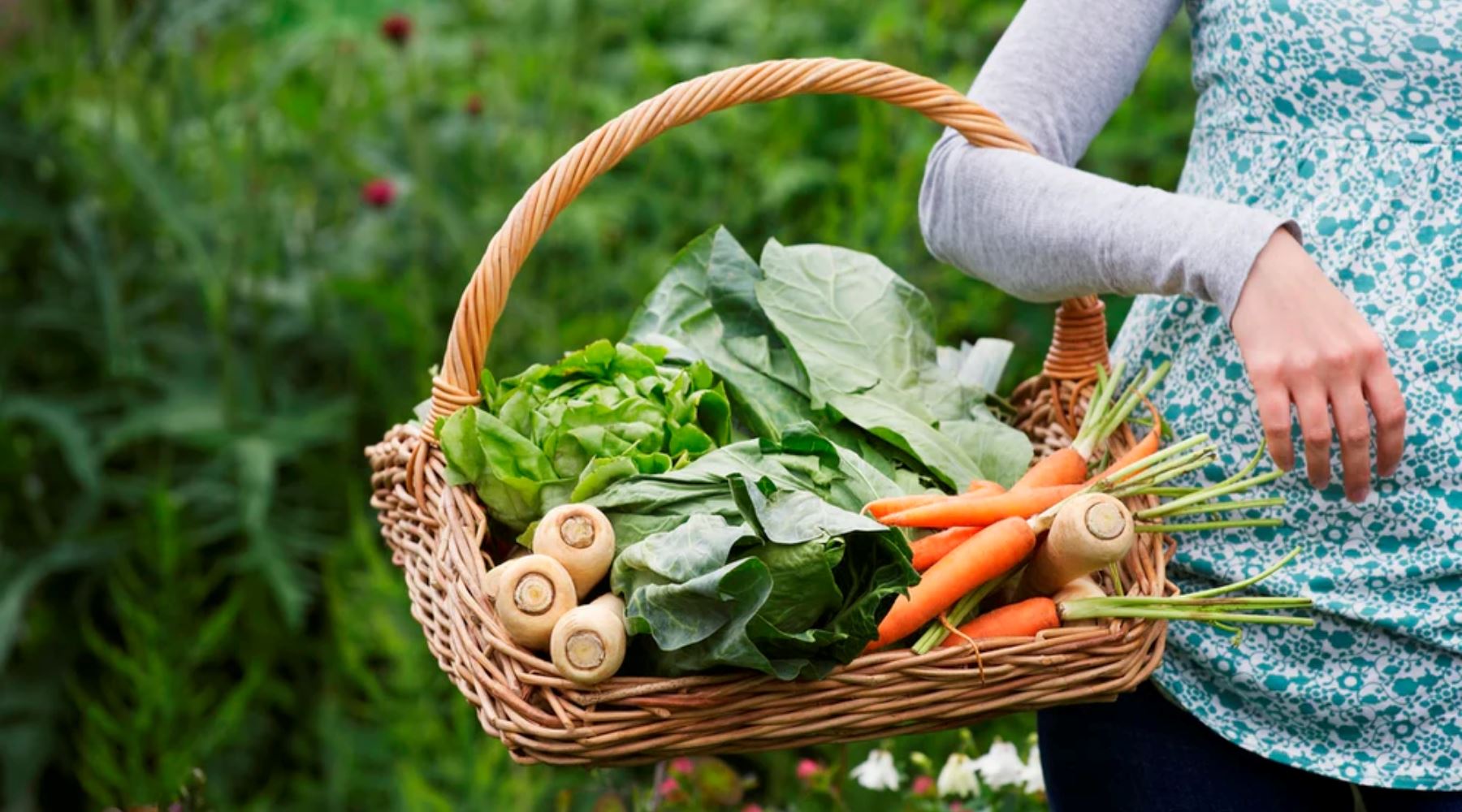 best organic face cream, best organic oils for face, best anti ageing skin care natural