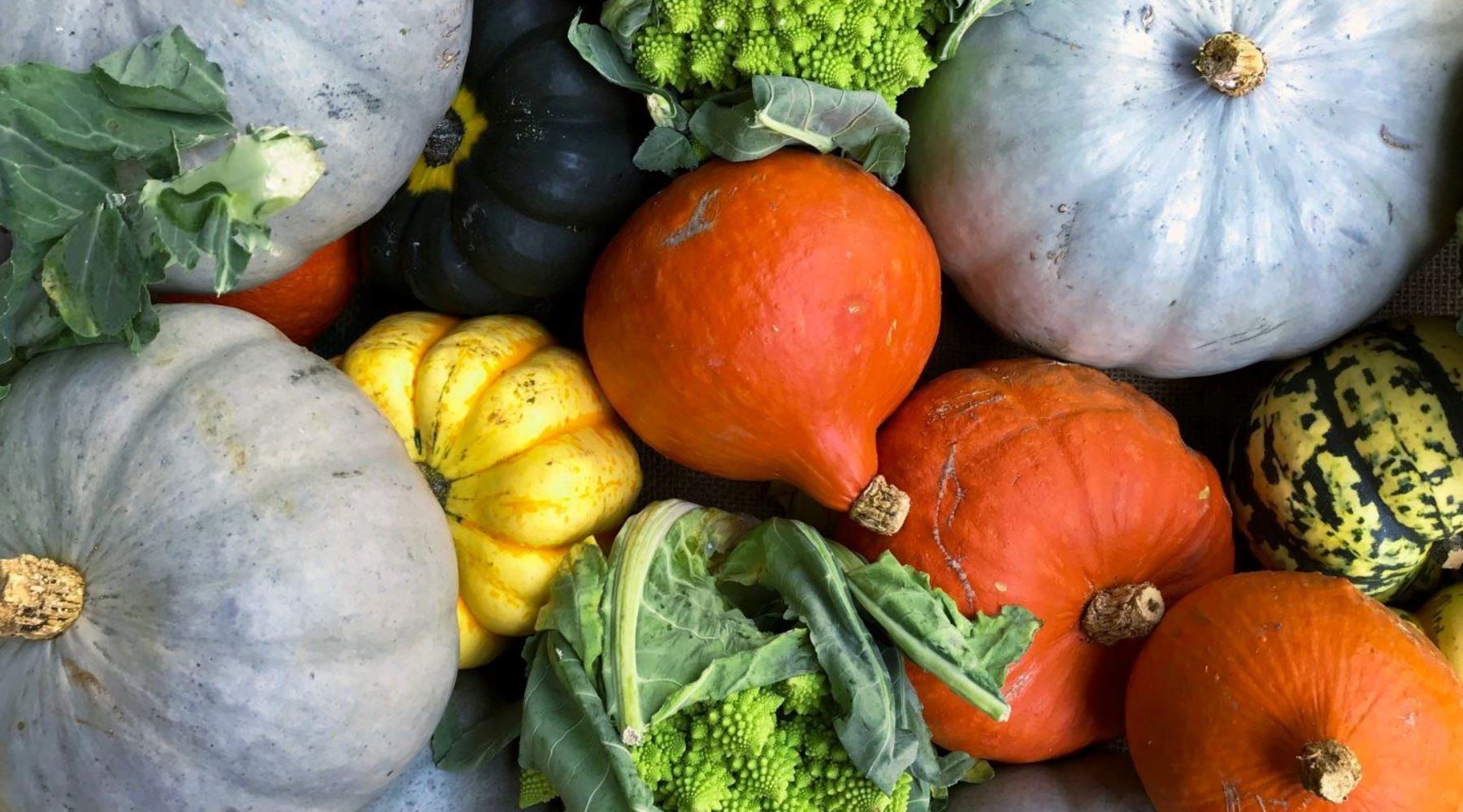 animal cruelty free skincare brands, anti ageing natural oils, natural eye cream