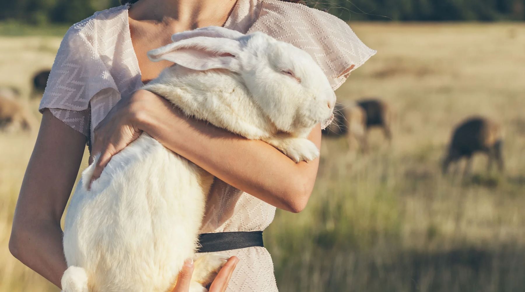 6 Tips For Switching To Cruelty-Free Skincare