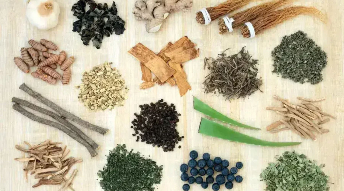 Adaptogens In Cosmetics What is Adaptogenic Skincare