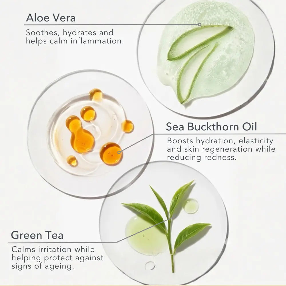 Aloe vera, rose water, green tea, sea buckthorn oil and raspberry seed oil used in Baie Botanique regenerating rose face wash