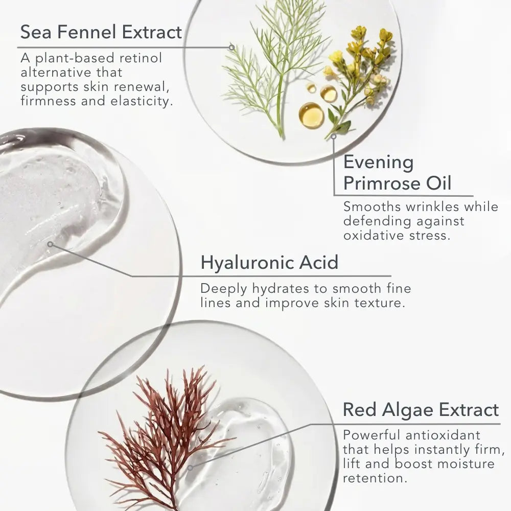 Key ingredients in Baie Botanique regenerating rose eye cream including hyaluronic acid, sea fennel, red algae and botanical oils