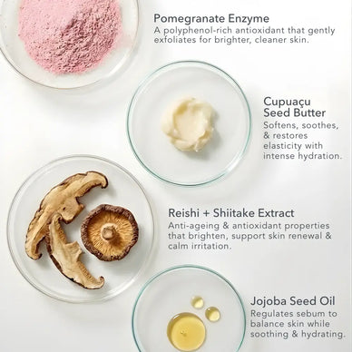 Flat lay of Rose + Cupuaçu Enzyme Cleanser key ingredients including pomegranate enzyme, reishi and shiitake mushroom extracts, cupuaçu seed butter and jojoba oil